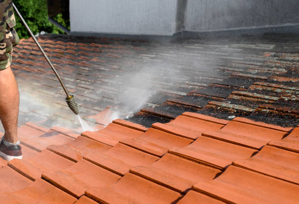 Best Affordable Power Washing  in Riceville, TN