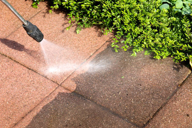 Best Roof Power Washing Services  in Riceville, TN